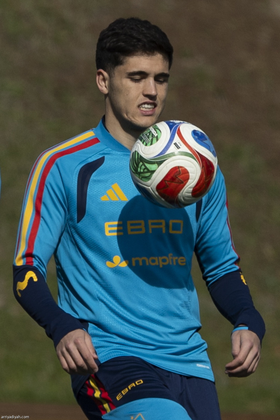 تحضيرات إسبانية