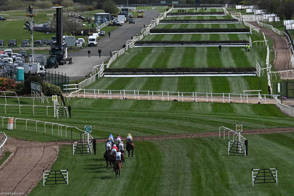 ختام المهرجان