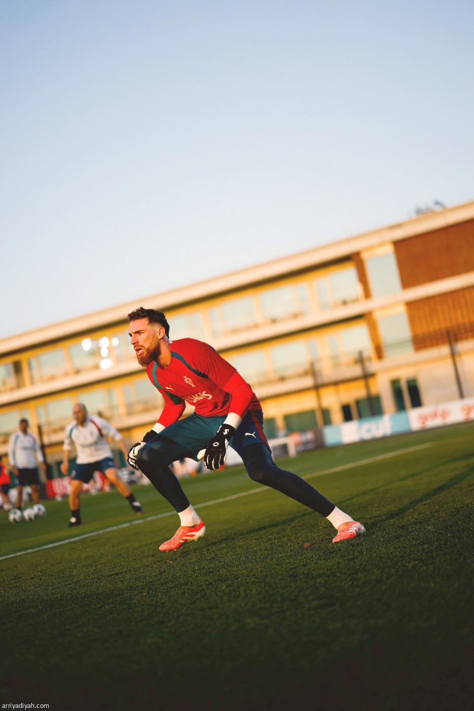 فيليش ونيفيش يستعدان