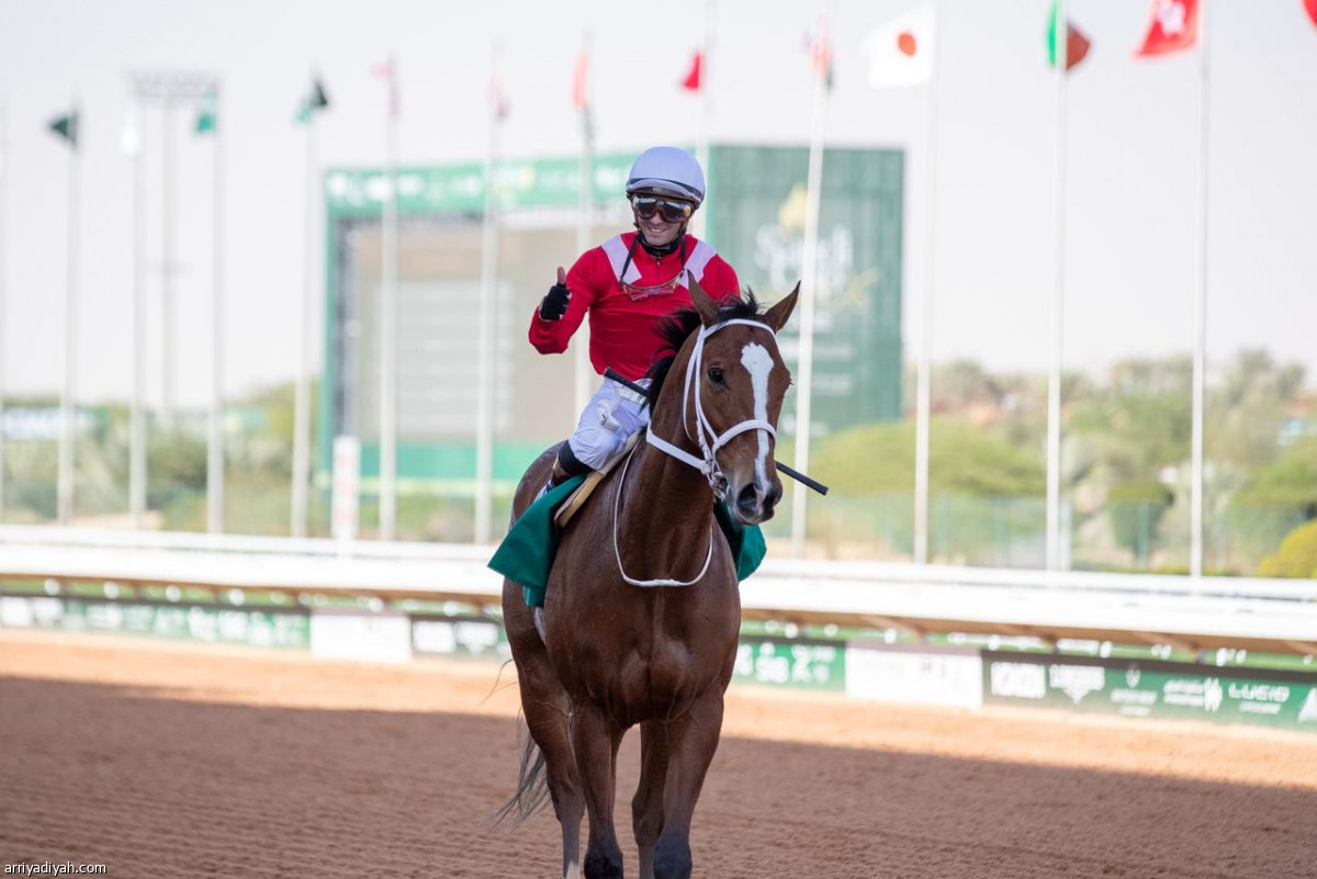 انطلاق الفعاليات