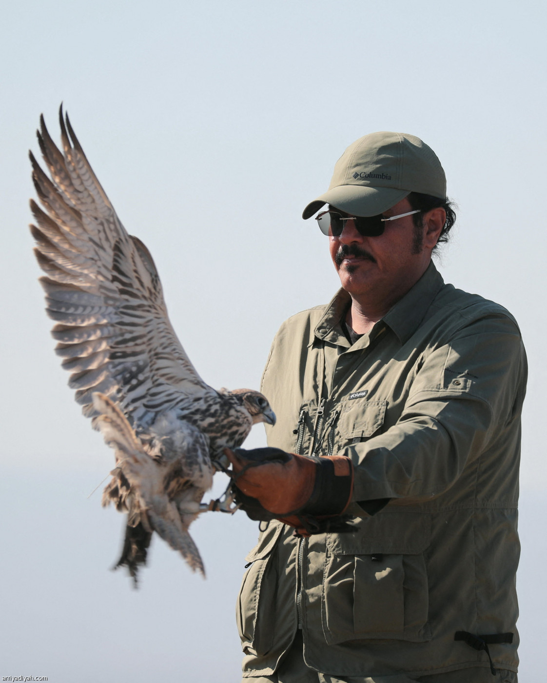 إعادة توطين