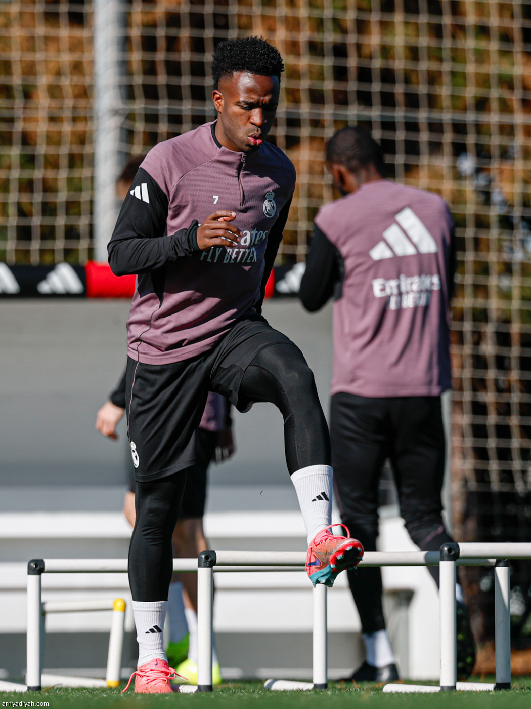 استعداد أخير