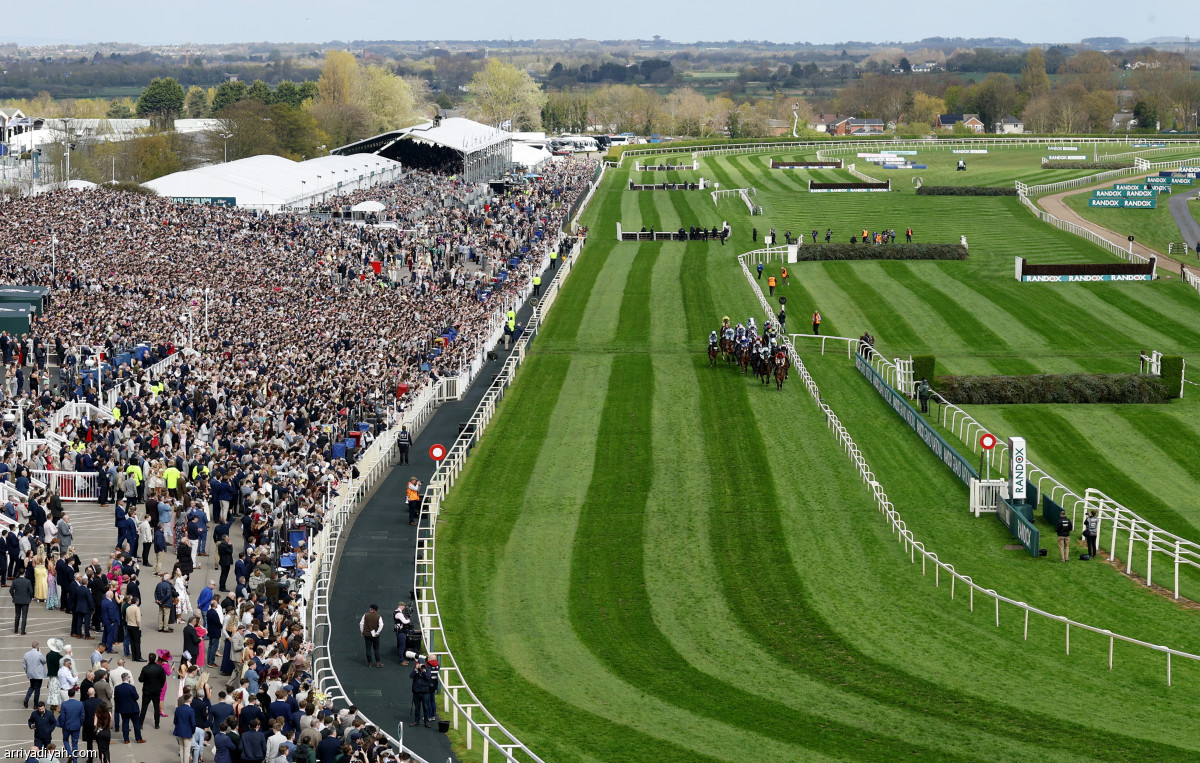 مهرجان الخيول