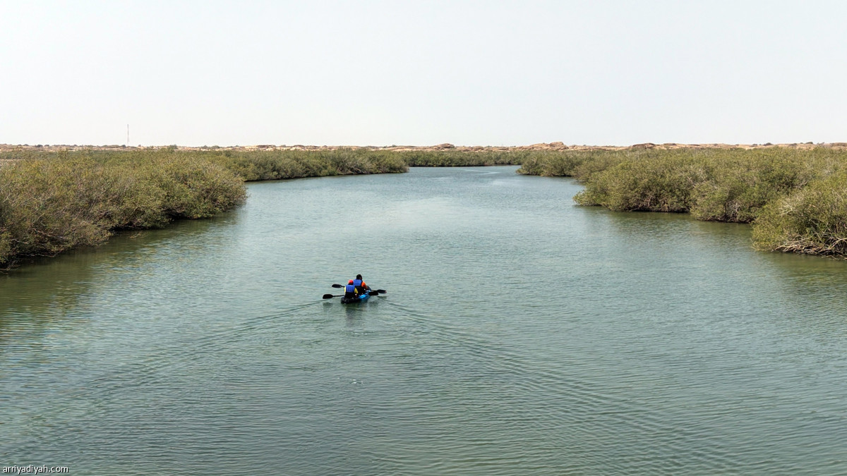 التجديف بالكاياك