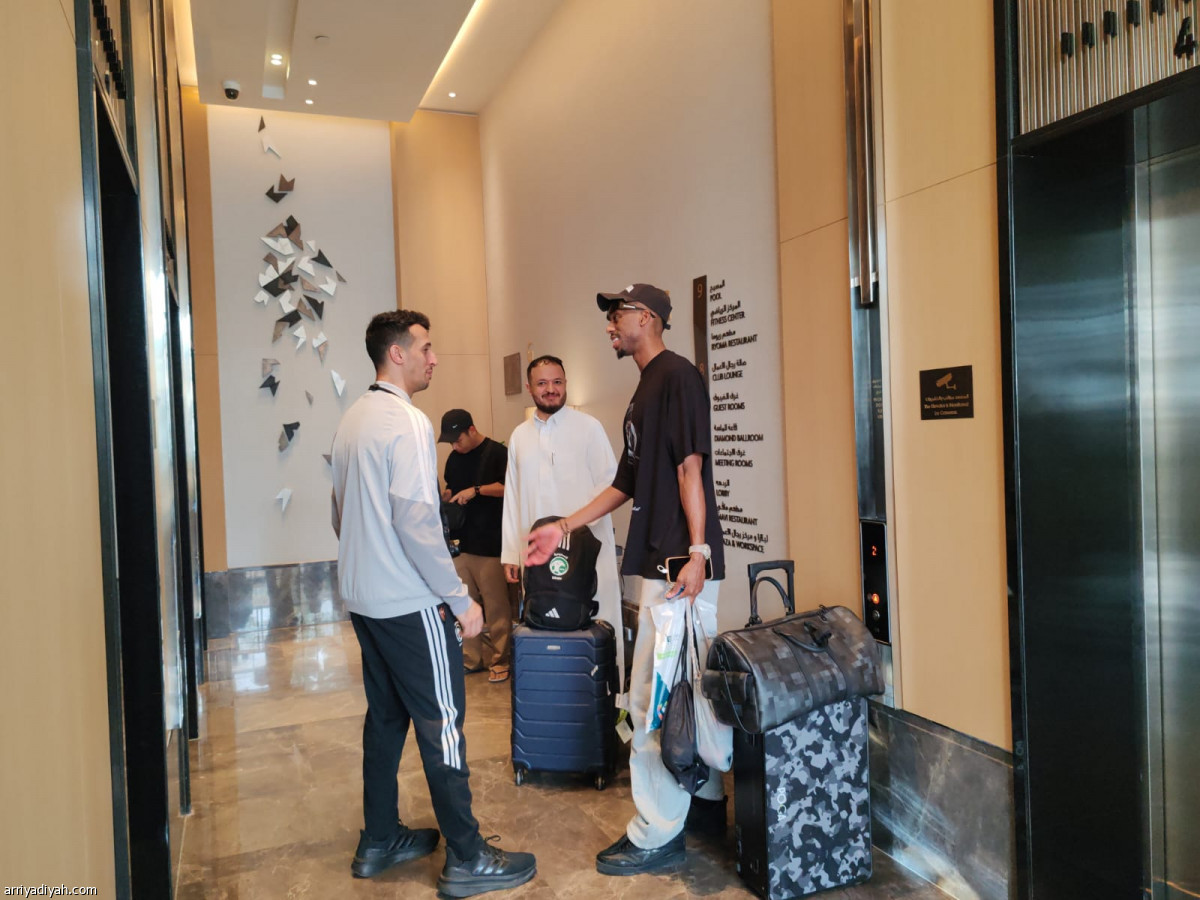 الصقور في بلازا