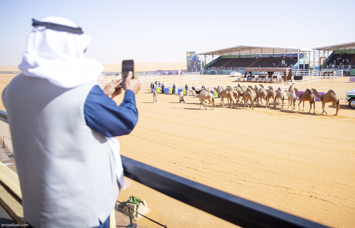 شوط الفحل المنتج