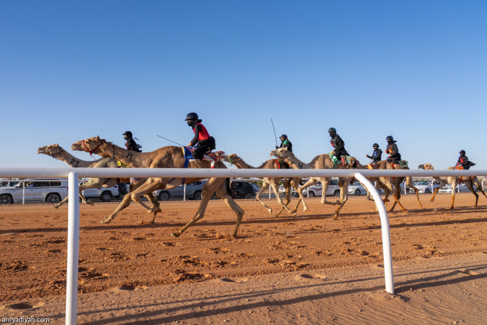 «روما» و«الجوكر» يطيران بـ 200 ألف.. و«الروضة» تحصد شوط السيدات