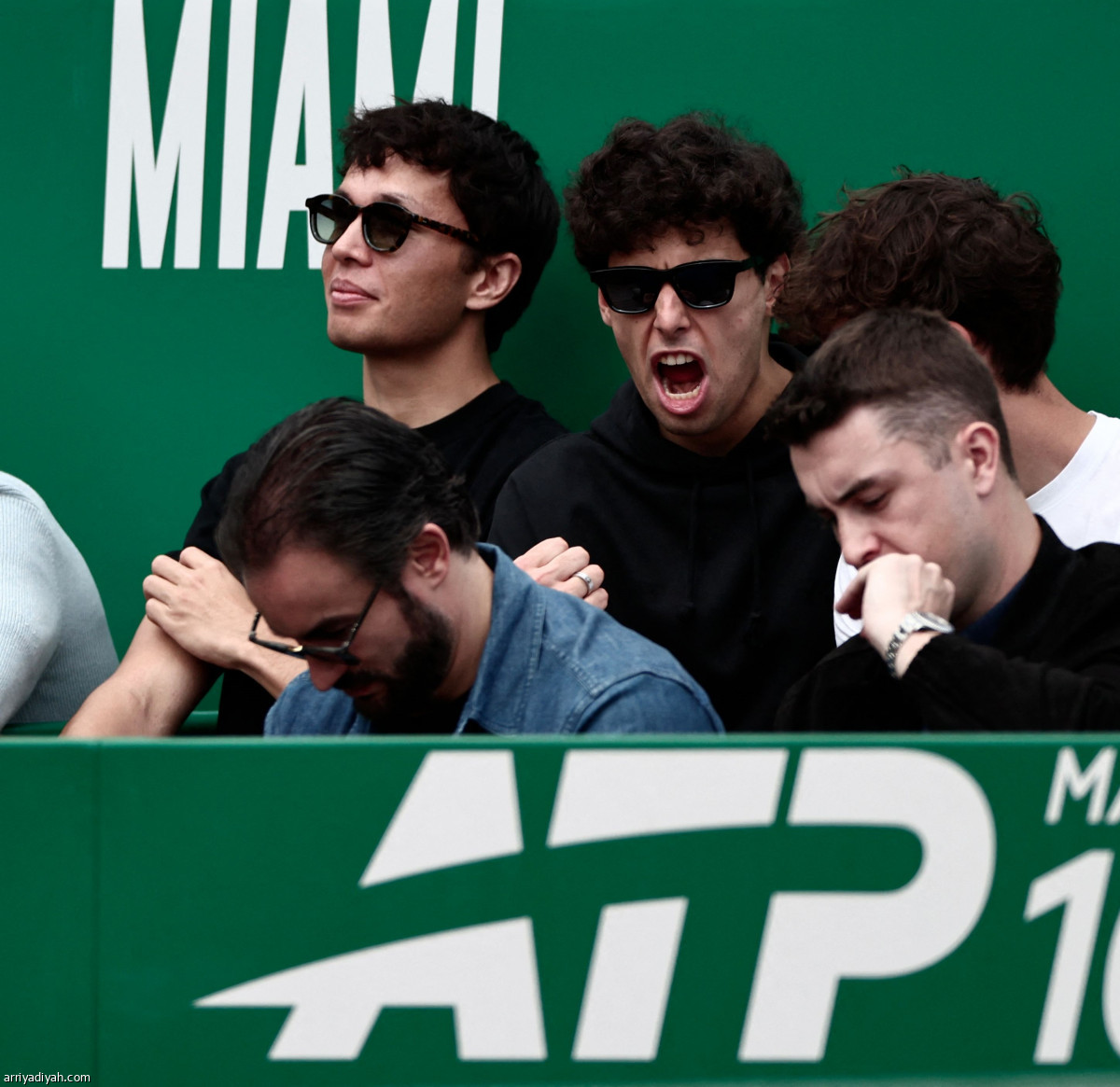 المشاهير يحضرون